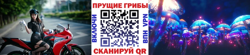 Псилоцибиновые грибы прущие грибы где купить Сельцо